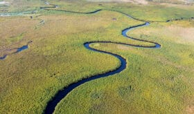 aerial view to river in delta Okavango area.