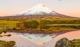 CheckIn:14.06.2017
Valid:31.03.2019
Changed:29.08.2018