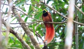 CheckIn:15.11.2018
Valid:31.12.2025
Changed:15.11.2018
4710018-1619238