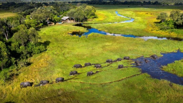 Durch die Nationalparks in Botswana