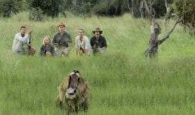 CheckIn:27.06.2018
Valid:31.12.2020
Changed:05.09.2018
4301319-1618274
4300899-1616585