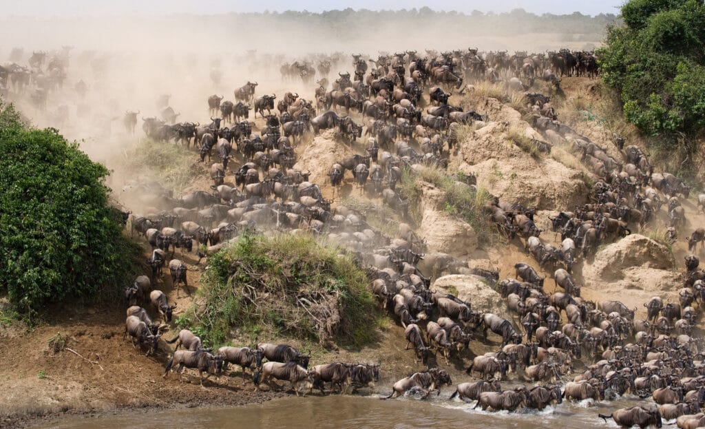 CheckIn:07.06.2017
Valid:31.12.2019
Changed:10.11.2020
4300397-1618349